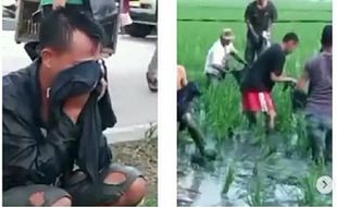 Viral! Truk Kecelakaan, Muatan Berisi Lele Malah Dijarah Warga