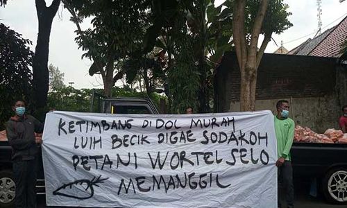 Foto-Foto Aksi Petani Boyolali Jual Wortel Gratis Dampak Harga Anjlok