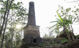 Gondosini, Kebun Kopi Kuno Era Mangkunegaran di Wonogiri