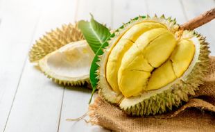 Desa Wadas Purworejo Ternyata Surga Durian Hlo