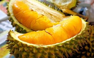 Durian Bawor Banyumas Lebih Legit dari Monthong Thailand