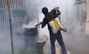 Dua Balita di Karanganyar Meninggal karena DBD, Pemkab Giatkan Fogging