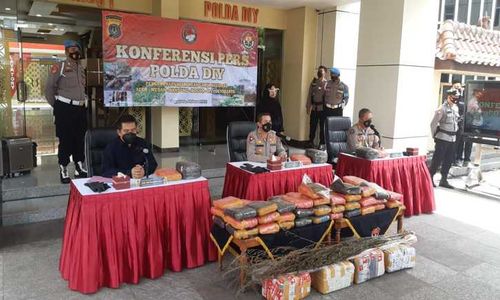 Kasus Peredaran Ganja, Polda DIY Temukan 2 Ton Ganja di Tempat Ini