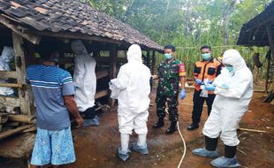 12 Warga Gunungkidul Dipastikan Terjangkit Antraks, Begini Kondisinya