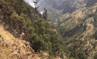 Disebut Tersembunyi, di Mana Lokasi Kawah Candradimuka Gunung Lawu?