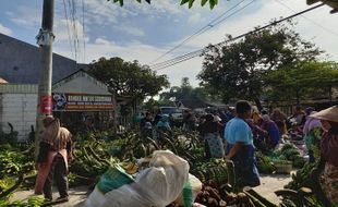 Ini Lokasi Pasar Pisang Terbesar Se-Jateng di Juwangi Boyolali