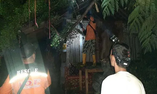 Waduh! Hujan Deras, Pohon Preh Tumbang di Wedangan Omahe Whawin Solo