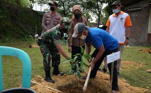 Masyarakat Desa Hutan Sragen Tanam 1.050 Pohon di 4 Kecamatan