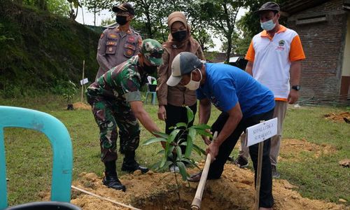 Masyarakat Desa Hutan Sragen Tanam 1.050 Pohon di 4 Kecamatan