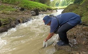 Tiga Komunitas Pelestari Lingkungan Sragen Tebar Ribuan Benih Ikan