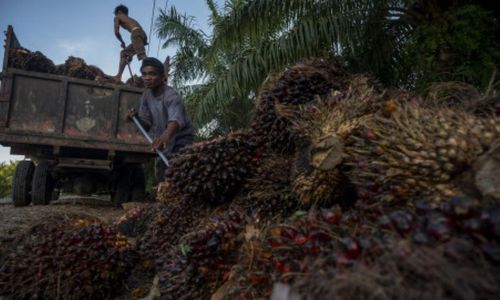 Konflik Rusia-Ukraina Ancam Ekonomi Indonesia, Malaysia dan Filipina