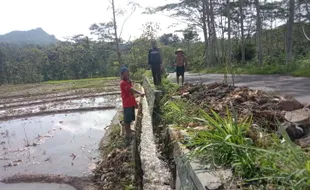 Talut Jalan Sepanjang 5 Meter di Jambeyan Sragen Ambrol