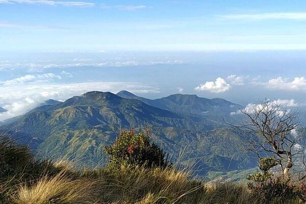 Punden Cemoro Bulus, Dasar Gunung Lawu di Taman Hutan Raya