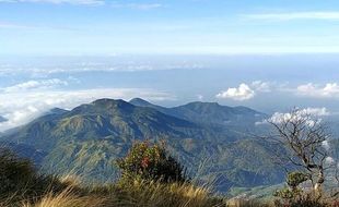 Tragedi Gunung Lawu 1987: 15 Santri Ngruki Meninggal