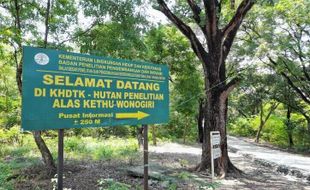 Disebut Angker dan Penuh Misteri, Begini Kisah Sejarah Alas Kethu Wonogiri