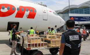 1.102 Burung Asal Malaysia dan Afsel Dipulangkan dari Bandara Kualanamu