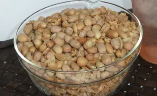 Kacang Listrik Jepara, Nyetrum Enggak Ya?