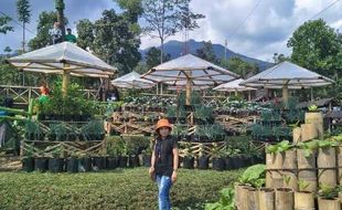 Taman Sayur Kendal, Agrowisata Kekinian di Jateng