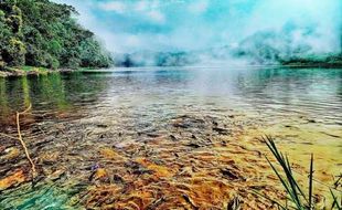 Misteri Ikan Keramat di Telaga Ranjeng Brebes