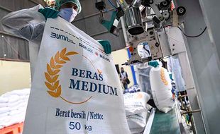 Harga Beras Medium dan Premium Naik, Bapanas: Perlu Penambahan Stok di Bulog