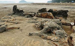 Asal Usul Batu Kutukan Malin Kundang di Pantai Air Manis