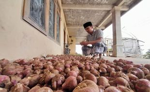 Harga Bawang Merah Naik Turun Cepat, Ini Harapan Petani Selo Boyolali