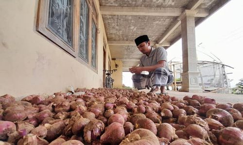 Harga Bawang Merah Naik Turun Cepat, Ini Harapan Petani Selo Boyolali