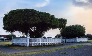 Mengenal Alun-Alun Utara Jogja, Sejarah dan Pergeseran Fungsinya