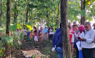 Pulang dari Jakarta, Satpam asal Gemolong Gantung Diri di Pohon Jati