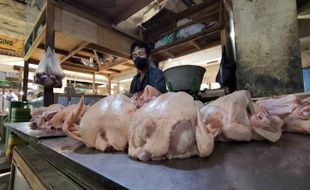 Tak Hanya Cabai, Harga Daging Ayam di Boyolali Juga Naik Signifikan