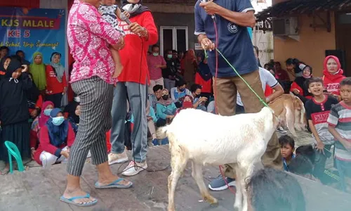 Cuma Ikut Senam, 4 Warga Jenar Sragen Bawa Pulang Kambing