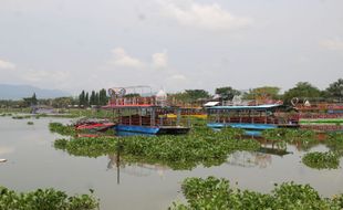 Eceng Gondok Rawa Jombor Klaten Subur, Pemilik Perahu Wisata Pusing