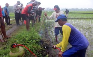 Pemdes Kedungupit Sragen Alokasikan Rp180 juta Untuk Ketahanan Pangan