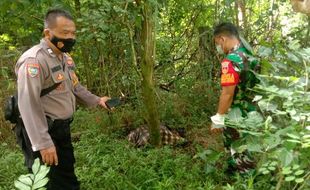 Jasad Wanita Misterius di Bawah Tol Semarang Korban Pembunuhan