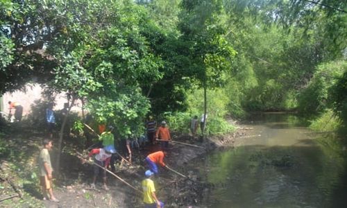 Sempit dan Dangkal, Kali Langsur Sukoharjo Mendesak Dinormalisasi