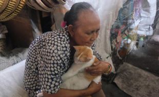 Enggak Tega, Pedagang Pasar Jongke Solo Ini Rawat 10 Kucing Buangan