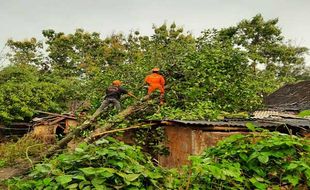 Hanya 20 Menit, Angin Kencang Rusak Ratusan Rumah di Gunungkidul