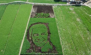 Lihat Lukisan Wajahnya di Tengah Sawah, Begini Reaksi Ganjar