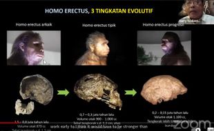 Sangiran Masih Simpan Misteri yang Bisa Ubah Teori Asal Usul Manusia