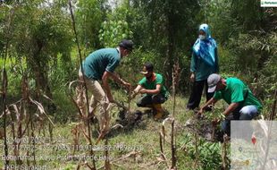 Peringati HUT ke-61, Perhutani Bagikan Bibit untuk Warga Wonogiri