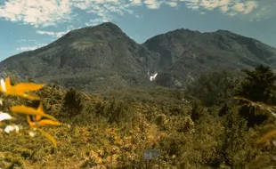 Lawu Diklaim Jadi Gunung Tertua di Pulau Jawa, Apa Buktinya?