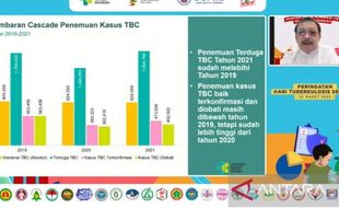 Setiap Jam 11 Orang Meninggal Akibat Tuberkulosis