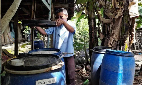 Hindari Pupuk Kimiawi, Warga Wuryantoro Ini Pilih Urine Kelinci