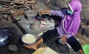 Food Estate Tidak akan Menyelesaikan Masalah Ketahanan Pangan