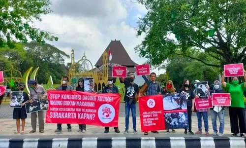 Ini 4 Jalur Distribusi Perdagangan Anjing di Solo