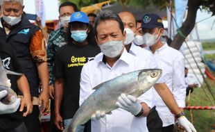 Kampung di Gresik Ini Panen 6.900 Ton Bandeng Setahun, Ukurannya Jumbo