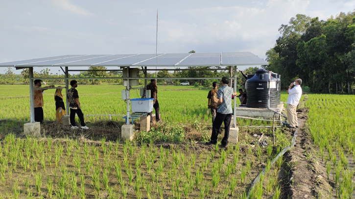 Dipakai di Sekolah dan Sawah, Sumber Energi Tenaga Surya Makin Populer