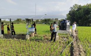 Dipakai di Sekolah dan Sawah, Sumber Energi Tenaga Surya Makin Populer