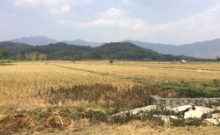 Bukit Emas Wonogiri Sempat Jadi Rebutan Wong Cilik & Australia