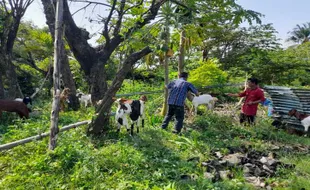 Dinsos Boyolali Salurkan Bantuan kepada 50 PPKS, Ada 11 Pasang Kambing